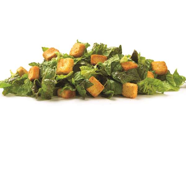 Fresh Gourmet Fresh Gourmet Trans Homestyle Seasoned Crouton 2.5lbs Packet, PK4 74541